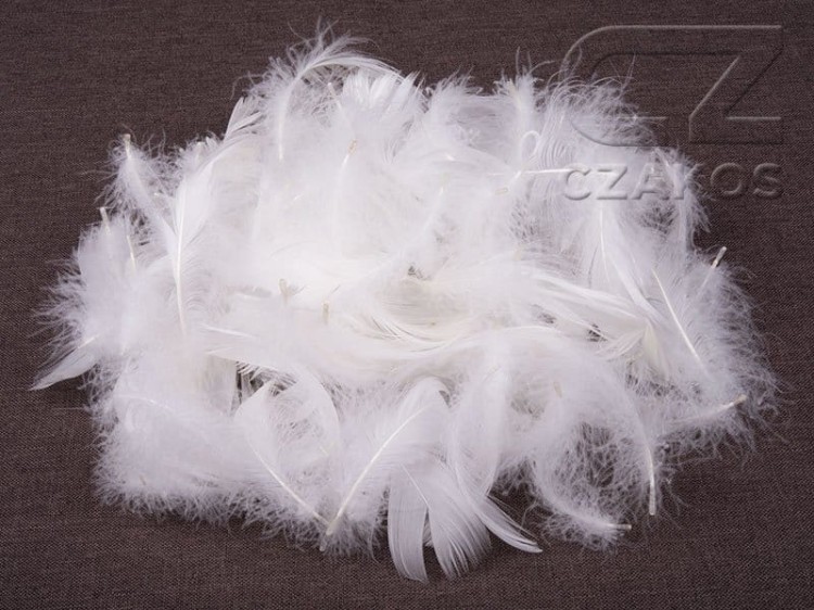 pióra ozdobne białe piórka dekoracyjne.jpg