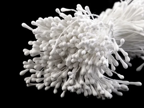 pręciki do kwiatów na nitce białe.jpg