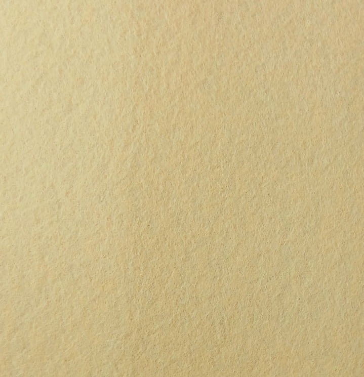 1000003076.jpg