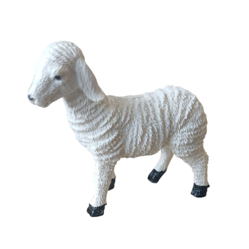 1000004290.png