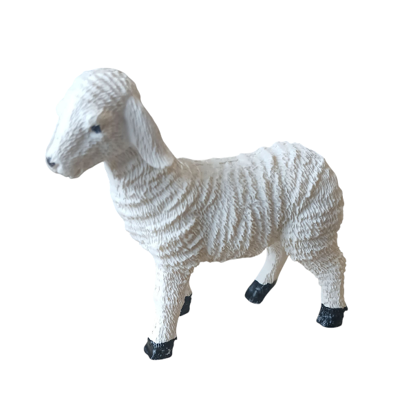 1000004290.png