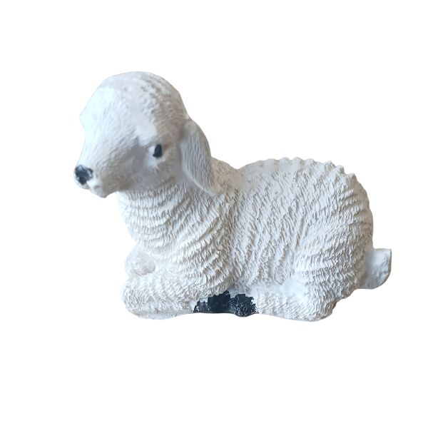 1000004291.png