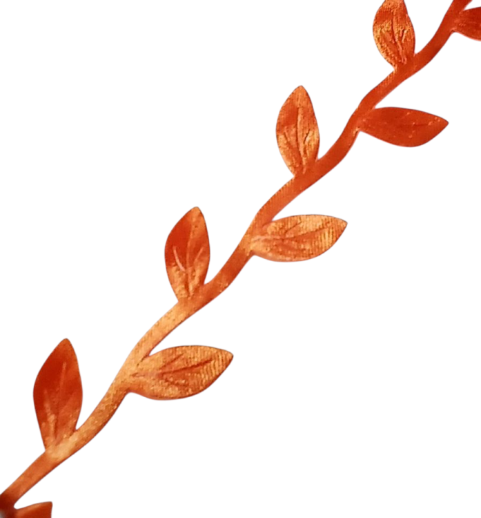 20250618_110536[1].png