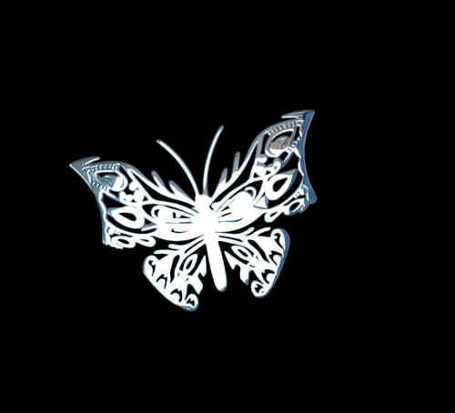 20250813_120913[1].png