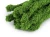 930843_274518_1.webp
