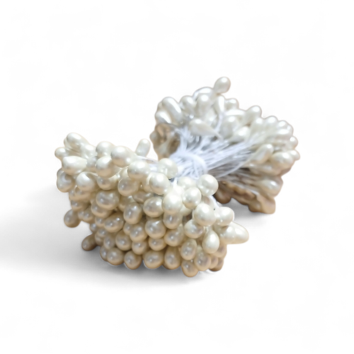 sztywne i duże pręciki do większych kwiatów