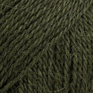 7895.jpg
